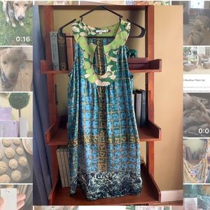Calypso St. Barth Silk Dress